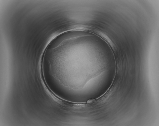 X0000110681483200906121156