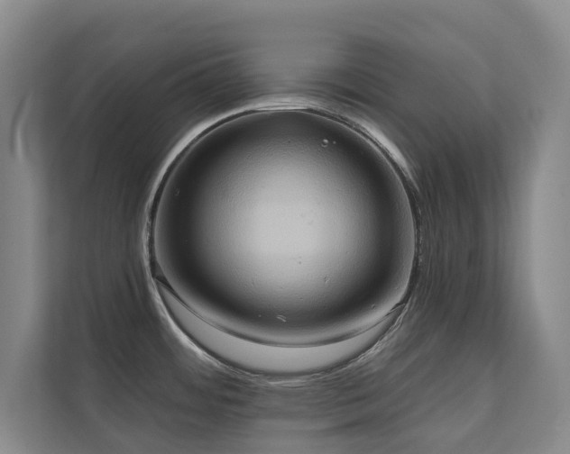 X0000110681484200906121156
