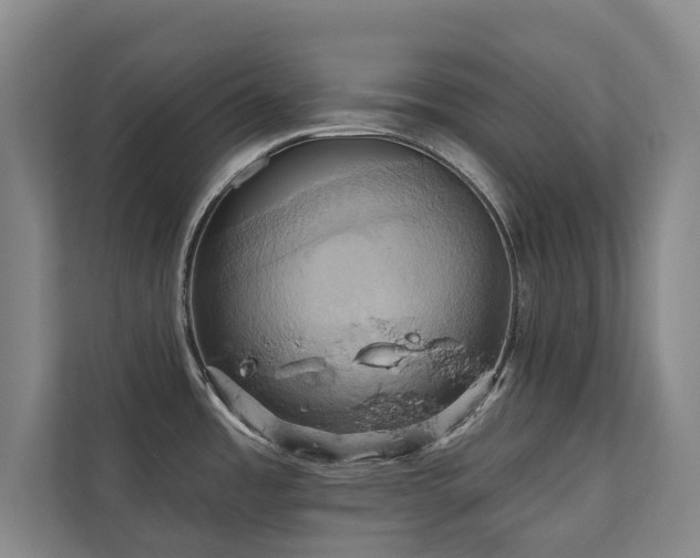 X0000110681485200906121156