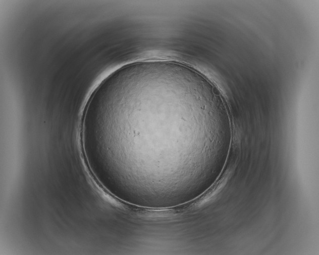 X0000110681486200906121156