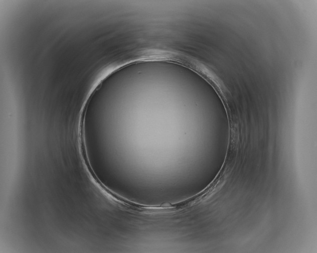 X0000110681487200906121156