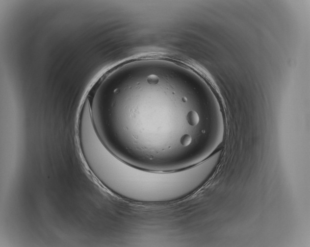 X0000110681488200906121156