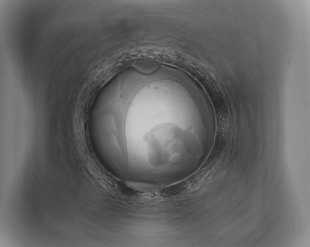 X0000110681489200906121155