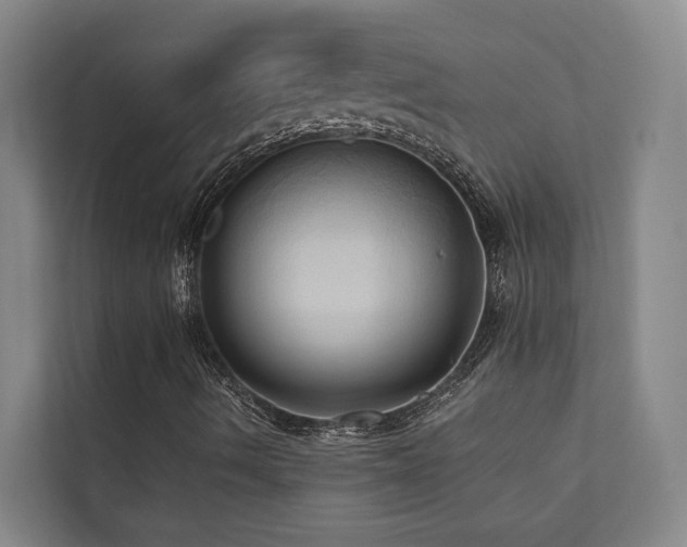 X0000110681490200906121155