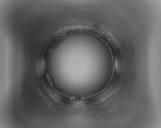X0000110681492200906121155