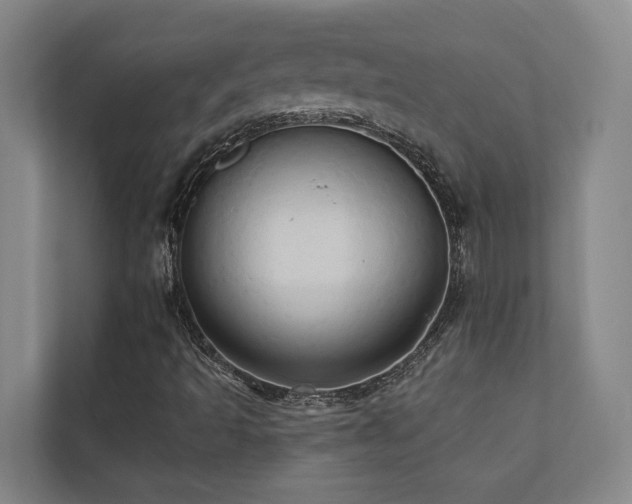X0000110681493200906121155