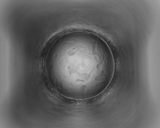X0000110681494200906121155