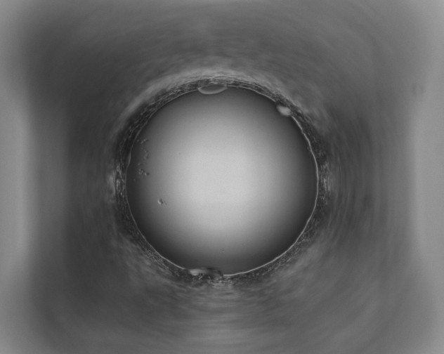 X0000110681495200906121155