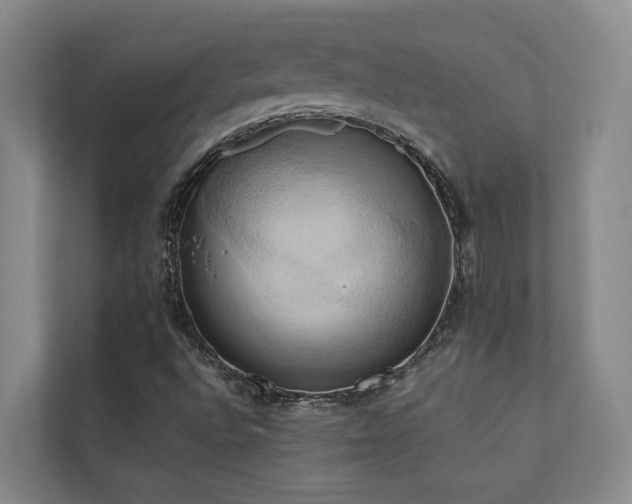 X0000110681496200906121155