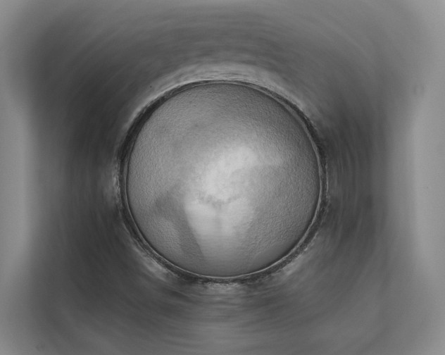X0000110681498200906121155