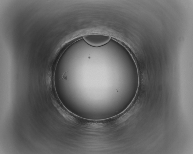 X0000110681499200906121155