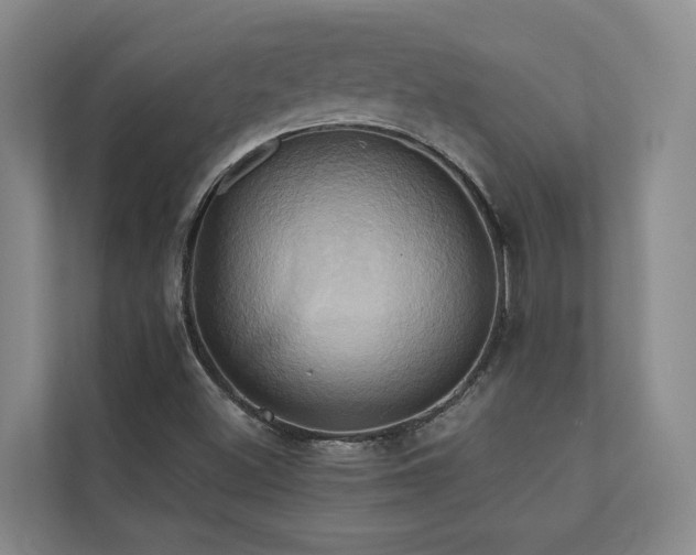 X0000110681500200906121155