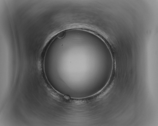 X0000110681501200906121155