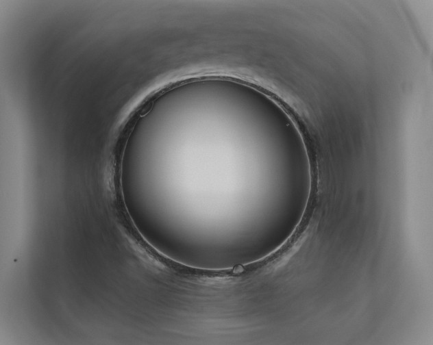X0000110681502200906121155