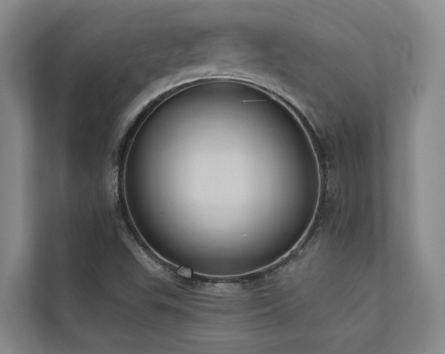 X0000110681503200906121155