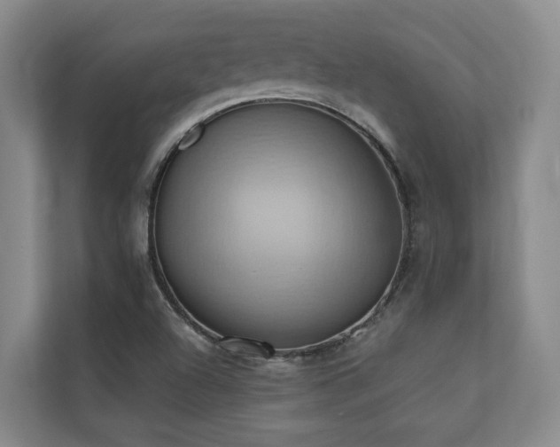 X0000110681504200906121155