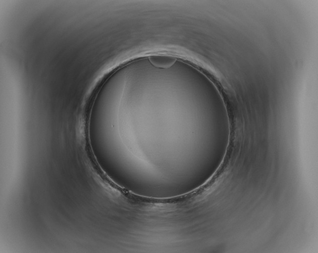 X0000110681506200906121155