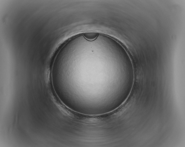 X0000110681507200906121155