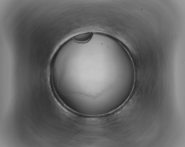 X0000110681508200906121155