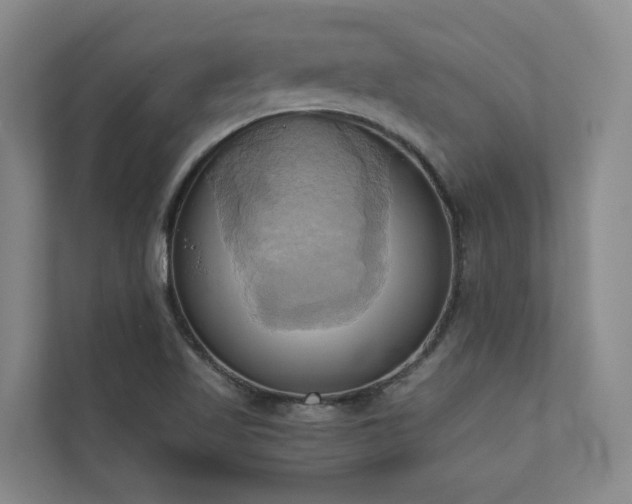 X0000110681509200906121155