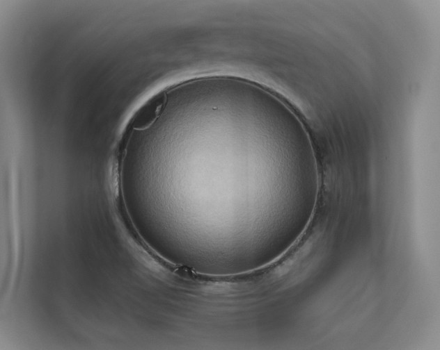 X0000110681510200906121155