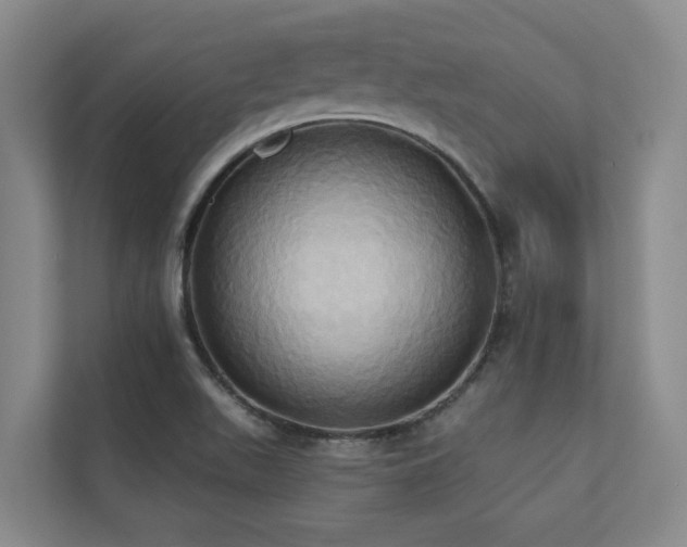 X0000110681511200906121155