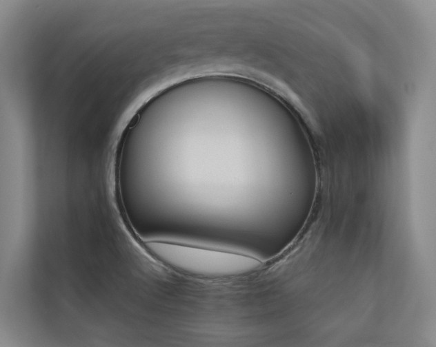 X0000110681512200906121155