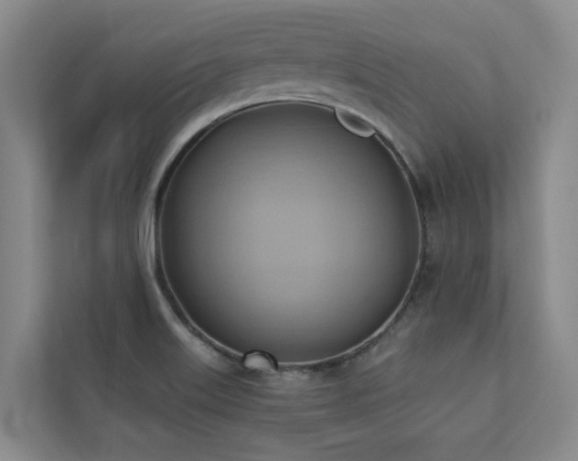X0000110681515200906121155