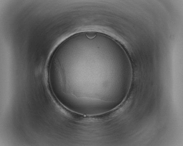 X0000110681517200906121155