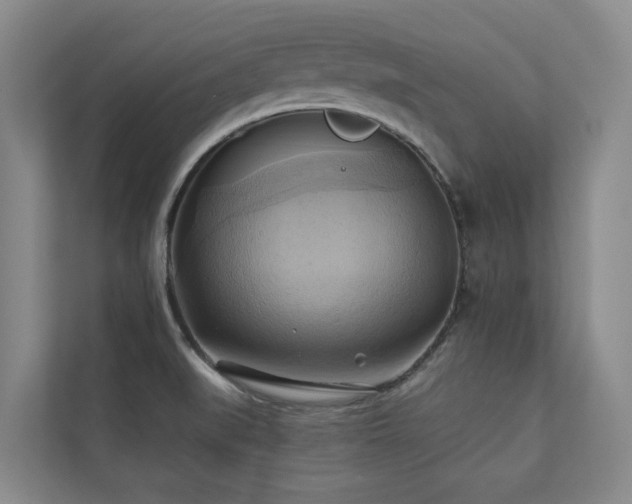 X0000110681519200906121155