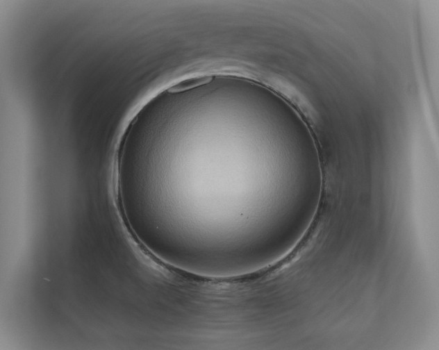 X0000110681520200906121155