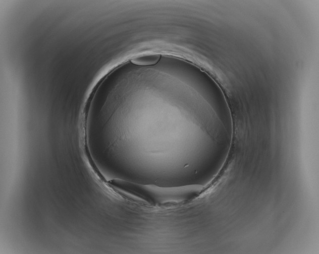 X0000110681522200906121155