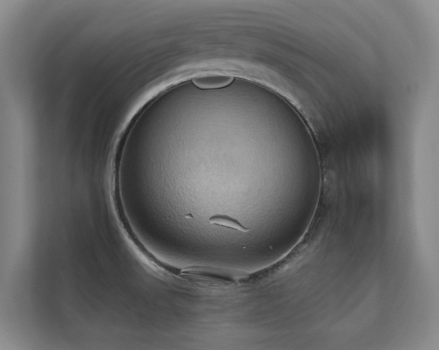 X0000110681523200906121156