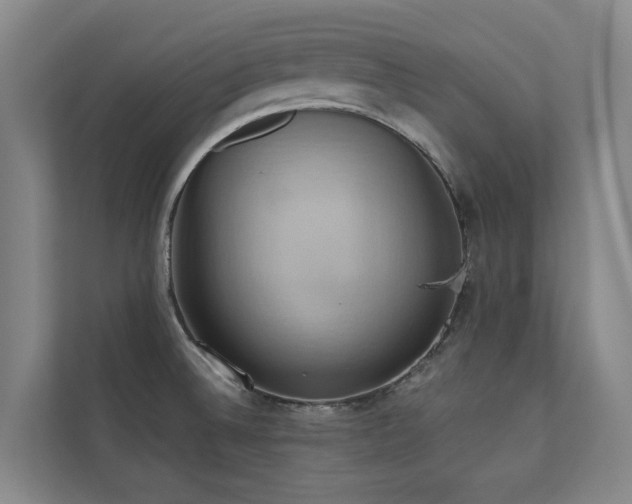 X0000110681524200906121156