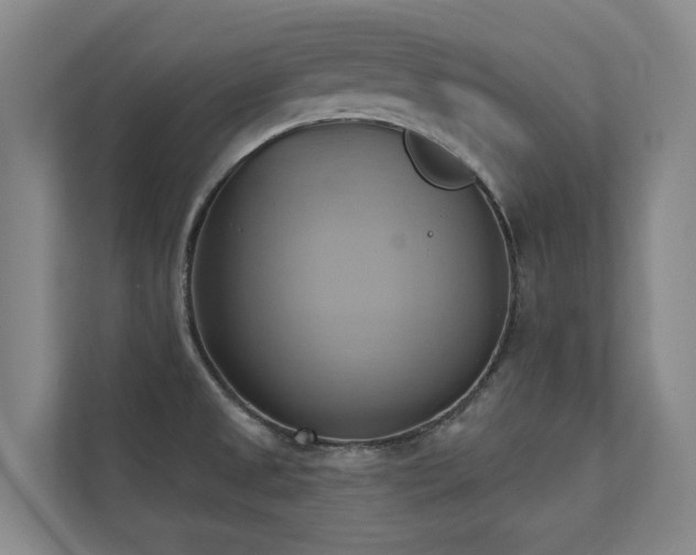 X0000110681525200906121156
