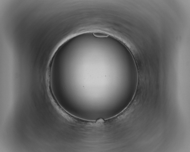 X0000110681526200906121156