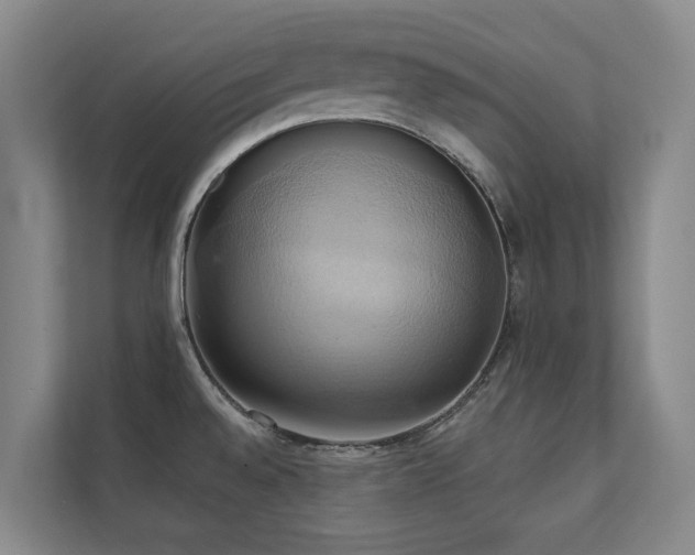 X0000110681528200906121156