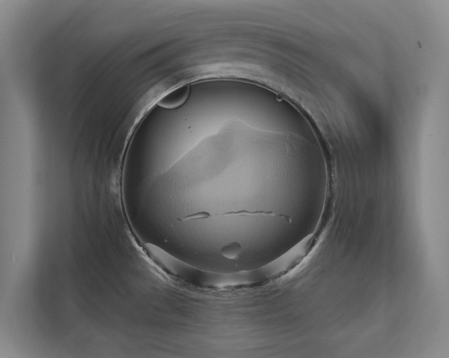 X0000110681529200906121156