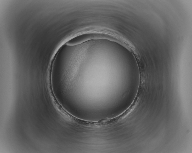 X0000110681530200906121156