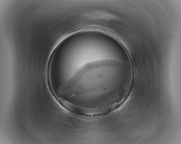 X0000110681533200906121156
