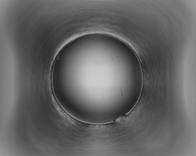 X0000110681534200906121156