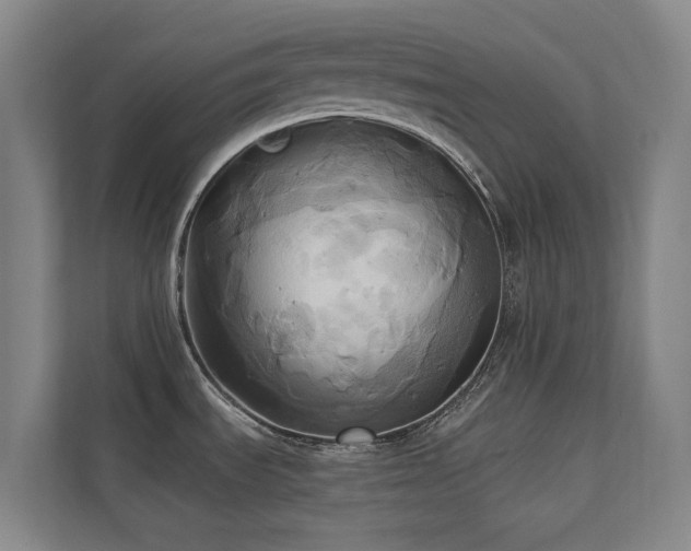 X0000110681535200906121156