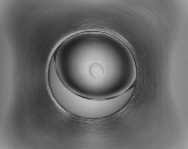 X0000110681536200906121156