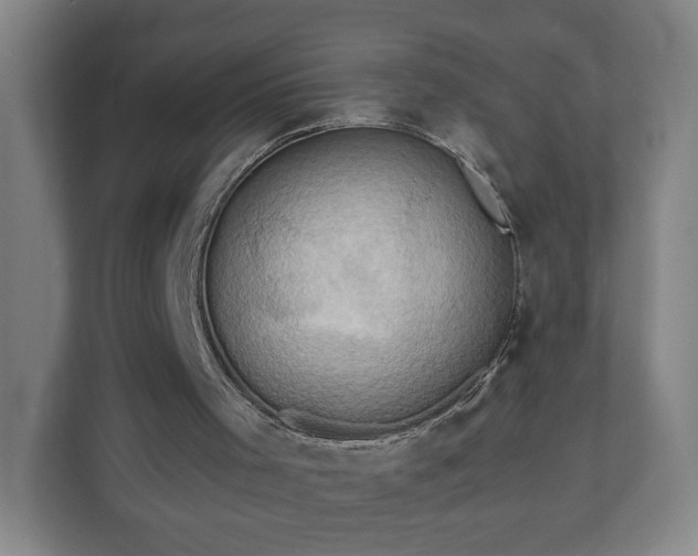 X0000110680001200906191415