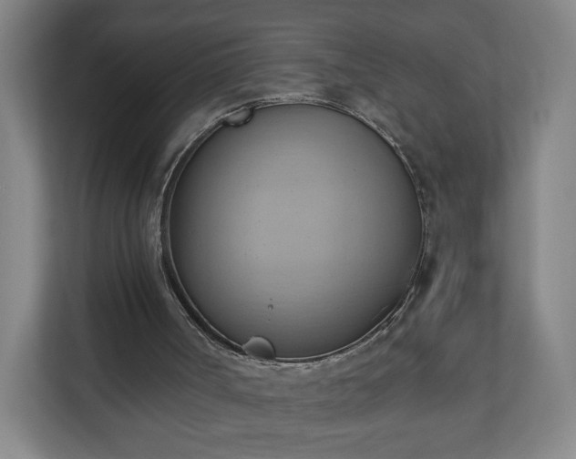 X0000110680002200906191415