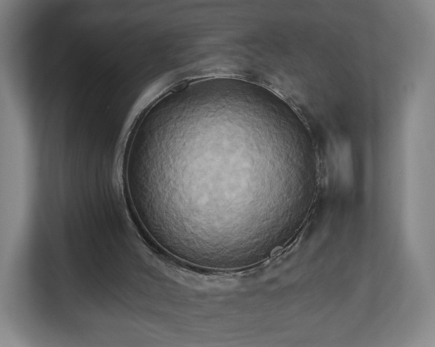 X0000110680004200906191415