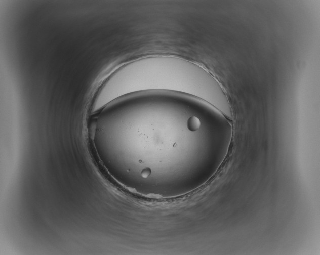 X0000110680005200906191415