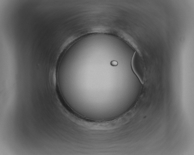 X0000110680011200906191414