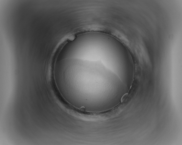 X0000110680012200906191414