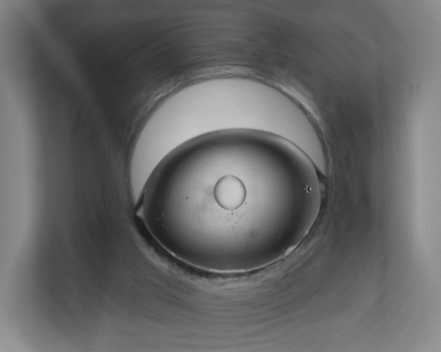 X0000110680013200906191414